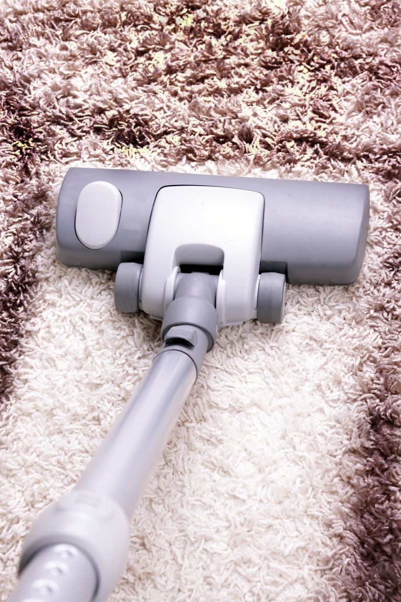 Do Carpet Maintenance at Home with Care