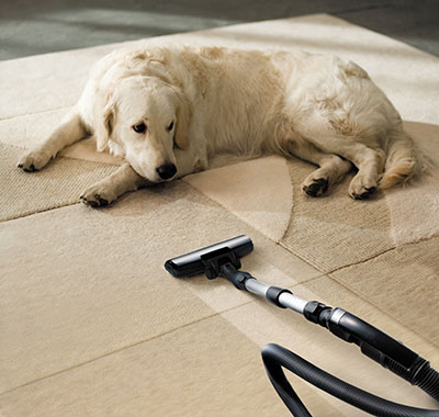 Professional Cleaning - Carpet Cleaning San Jose, CA